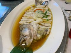 -湯記傳菜