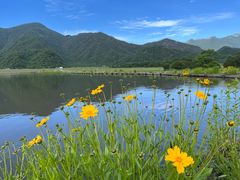 -大九湖