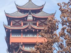 -塔子山公园