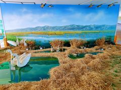 -延庆地质公园博物馆