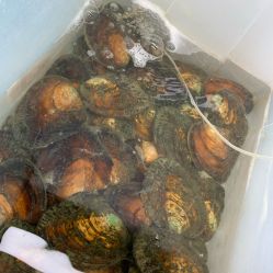 -邵老师打金·黄金加工(大望路总店)