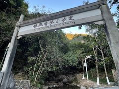 -银瓶嘴森林公园