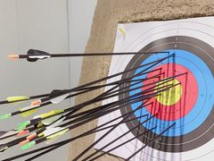 -蓝天射箭馆·专业射箭运动(诚丰广场店)