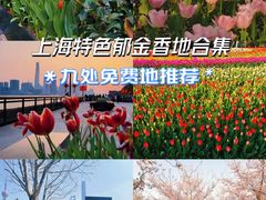 -大宁公园