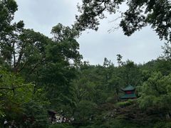 -岳麓山风景名胜区