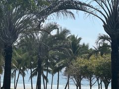 -海南清水湾莱佛士酒店