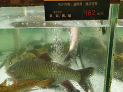 水产区-百鱼庄(仙葫店)