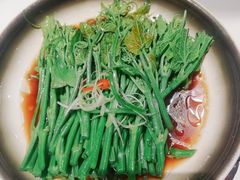 丝瓜尖-松鹤楼·非遗·苏帮菜(融科店)