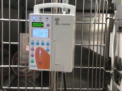 -半岛宠物医院24小时(科华中路店)
