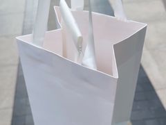 -BLACKSWAN黑天鹅(环球店)