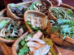 -滇野云南野生菌餐厅(陕西南路店)