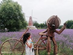 -渔岛海洋度假区