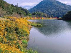 -广州市石门国家森林公园