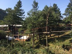 -梦幻奥陶纪景区