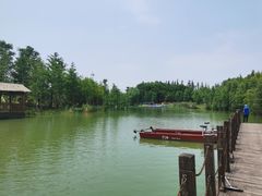 -上海长兴岛郊野公园