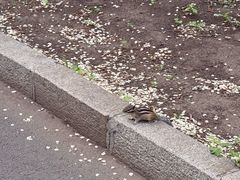 -黑龙江省森林植物园