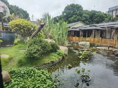 -湘力力小院·鱼汤泡饭(枫林路店)