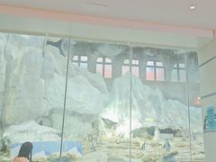 -帝企鹅自助餐厅•儿童岛•真企鹅(长隆企鹅酒店)