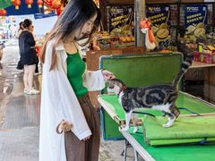 -油麻地果栏