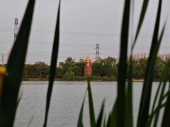 -昆山城市生态森林公园