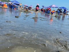 -台山黑沙湾海浴场