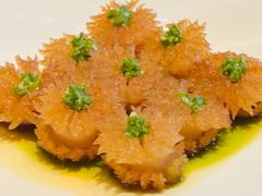 -万豪中餐厅·粤菜·北京粤财JW万豪酒店