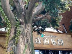 -杭州开元森泊度假乐园