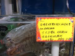 -蚝专家(北滘店)