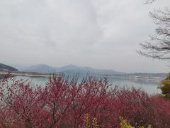 -屈原故里文化旅游区