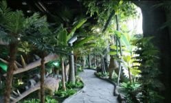 -恐龙探索乐园(磁器口店)