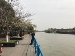 -高东镇樱花园