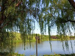 -西安汉城湖景区