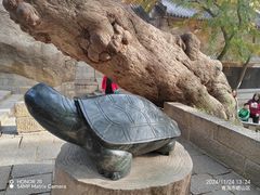 -青岛崂山太清宫