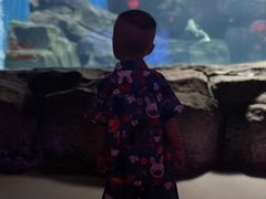 -石家庄海洋公园