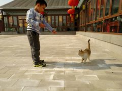 -甜心庄园·甜心草莓采摘园(西青中北店)