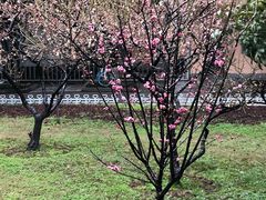 -武汉二七纪念馆