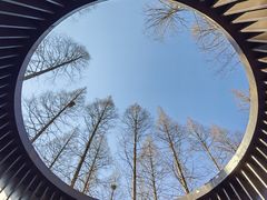 -黄海国家森林公园