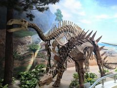 -延庆地质公园博物馆