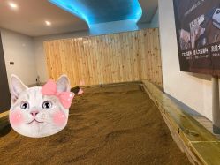 -敖东酵素·离子暖房