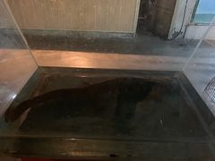 -新疆天山野生动物园