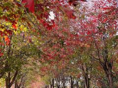 -苏州太湖国家湿地公园