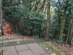 -凤栖山