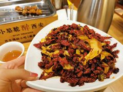-福苗小骆驼烧烤(莲湖路店)