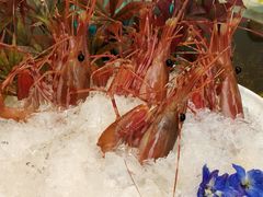 -老房子金沙元年川菜食府·花园餐厅(金沙店)
