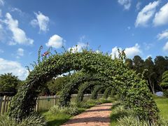 -东南花都花博园