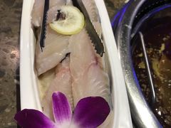 -鱼豆吉·豆浆鱼火锅(宜昌万达店)