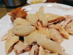 -启香鸡私房菜(湖景店)
