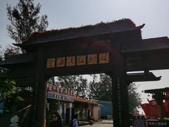 -北海金海湾红树林生态旅游区