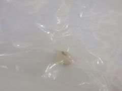 -泰康拜博口腔(世博园乐尔店)