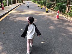 -银湖山郊野公园-相思林